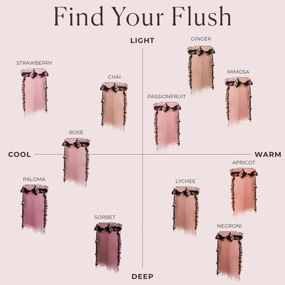 Blush Color Infusion Duo