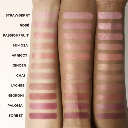 Blush and Bronzer Bundle