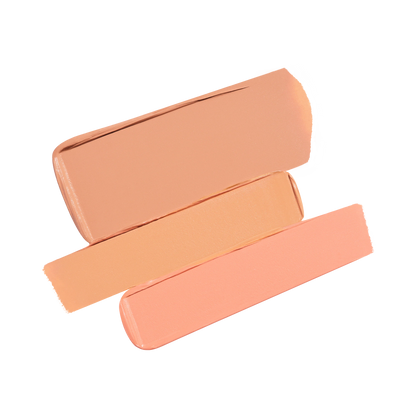 Secret Camouflage Complexion Perfector