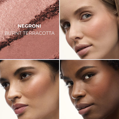 Blush Color Infusion Duo