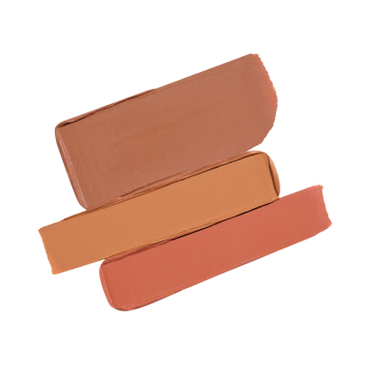 Secret Camouflage Complexion Perfector