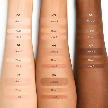 Secret Camouflage Complexion Perfector