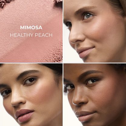 Blush Color Infusion Duo
